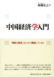 中国経済学入門